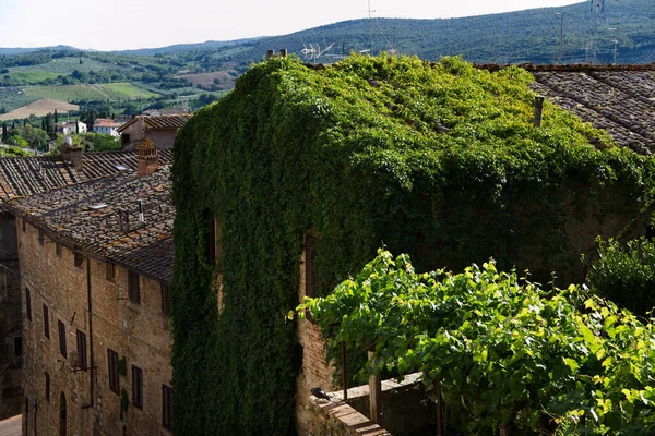 Dom w centrum San Gimignano pokryte bluszczem — Zdjęcie stockowe
