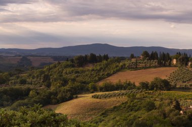 Sabahın erken saatlerinde San Gimignano yakınlarındaki Toskana manzarası