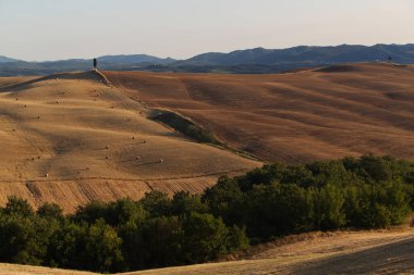 Sabahın erken saatlerinde Siena çevresindeki Toskana manzarası