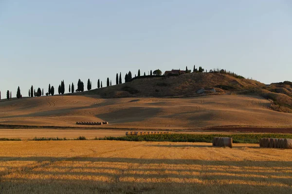 Paisaje en Toscana alrededor de Siena por la mañana temprano — Foto de Stock