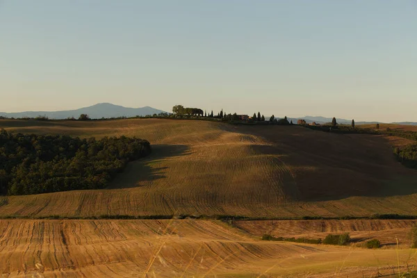 Toskánská krajina kolem Sieny brzy ráno — Stock fotografie