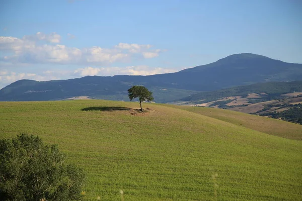 Vackert Toscana landskap, Val DOrcia — Stockfoto
