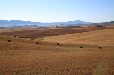 Güzel Toskana manzarası, Val Dorcia