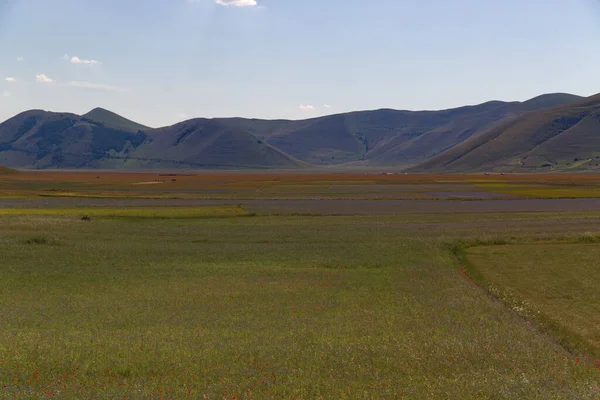 Το οροπέδιο του Castelluccio στο UMBRIA, Ιταλία — Φωτογραφία Αρχείου