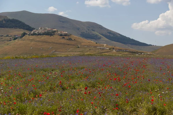 O planalto de Castelluccio na UMBRIA, Itália — Fotografia de Stock