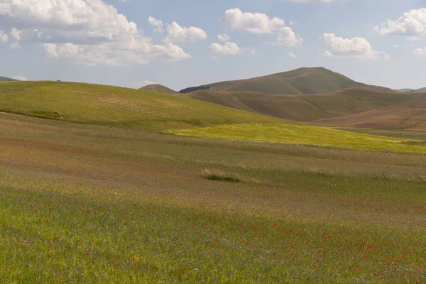 Το οροπέδιο του Castelluccio στο UMBRIA, Ιταλία — Φωτογραφία Αρχείου