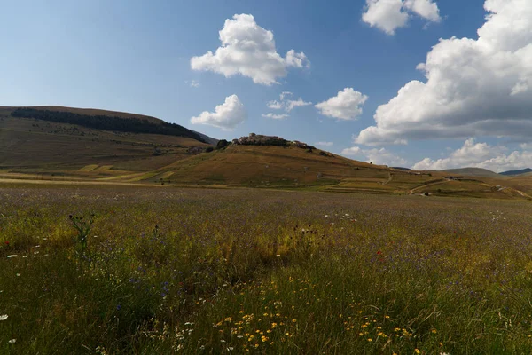 Castelluccio platå i UMBRIA, Italien — Stockfoto