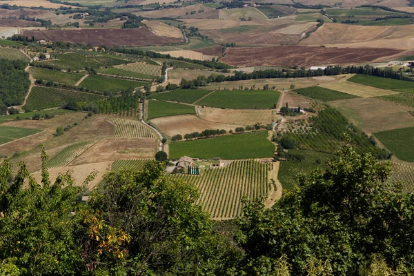 Utsikt över vingårdarna i Montalcino i Toscana, Italien — Stockfoto