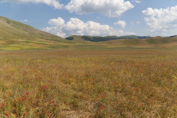 Το οροπέδιο του Castelluccio στο UMBRIA, Ιταλία — Φωτογραφία Αρχείου