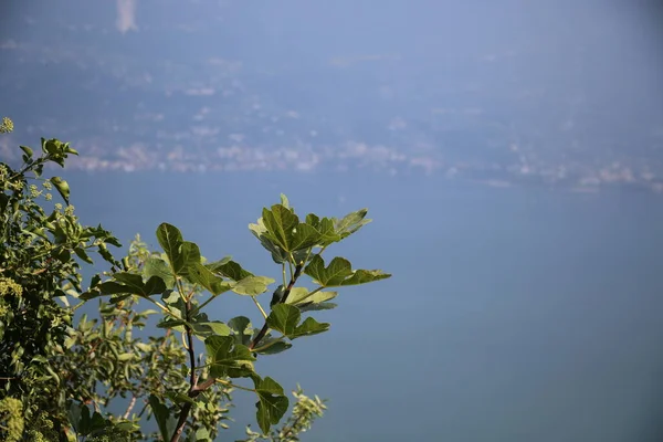 Landschap van Garda meer, Italië — Stockfoto