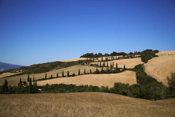 Paisaje tradicional de la Val DOrcia — Foto de Stock