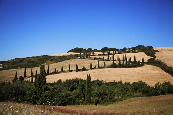 Traditionelle Landschaft des Val DOrcia — Stockfoto