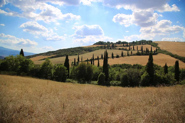 Paisaje tradicional de la Val DOrcia — Foto de Stock