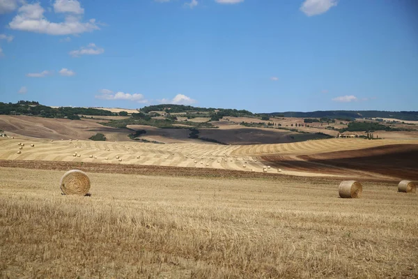 トスカーナの伝統的な風景,イタリア — ストック写真