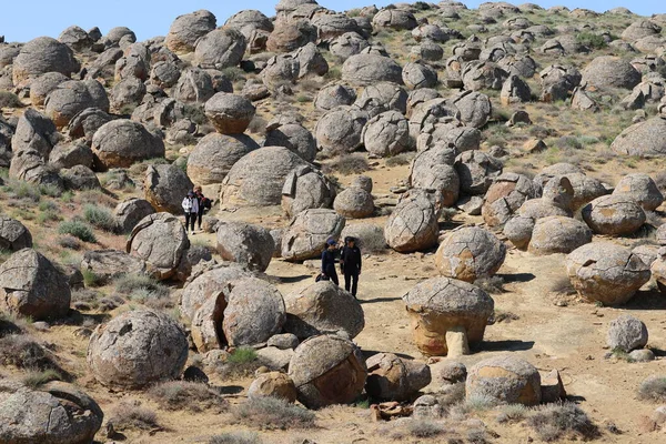 Torysh, Kazakistan 'daki Küre Vadisi. Yüksek kalite fotoğraf
