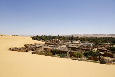 Mısır çölünde vaha. Yüksek kalite fotoğraf