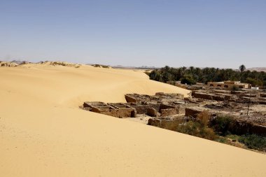 Mısır çölünde vaha. Yüksek kalite fotoğraf