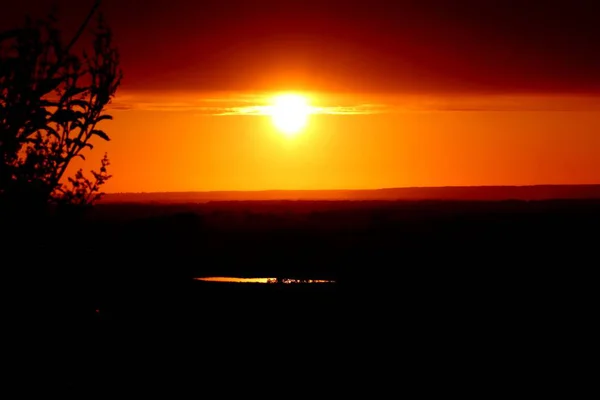 Silhouettes Branches Arbres Sur Fond Coucher Soleil Lumineux — Photo