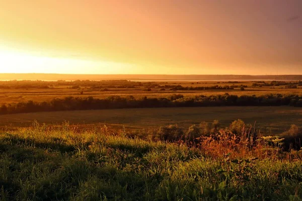 Sonnenuntergang Über Einem Feld — Stockfoto
