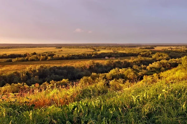 Tramonto Sul Campo Verde Infinito — Foto Stock