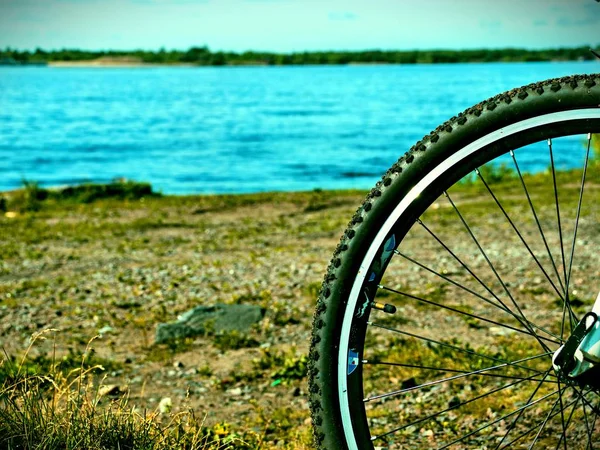 Roda Bicicleta Fundo Rio — Fotografia de Stock