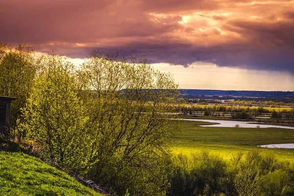 Paisagem Brilhante Com Folhagem Verde Jovem Árvores Iluminadas Pelo Sol — Fotografia de Stock