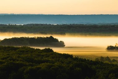 Ağaçlı bir çayırda sisli mistik sabah manzarası