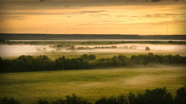 Mystische Morgenlandschaft Mit Nebel Über Einer Wiese Mit Bäumen — Stockfoto