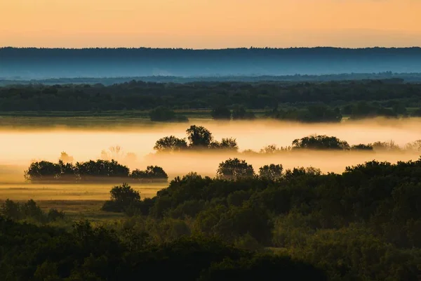 Mystische Morgenlandschaft Mit Nebel Über Einer Wiese Mit Bäumen — Stockfoto