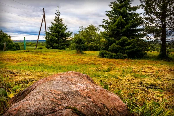 Landschaft Mit Einem Großen Braunen Stein Auf Dem Rasen Zwischen — Stockfoto
