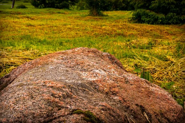 Landscape Large Brown Stone Lawn Trees — Stock Photo, Image