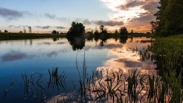 Verão Paisagem Matinal Nascer Sol Com Reflexão Superfície Espelho Lago — Fotografia de Stock