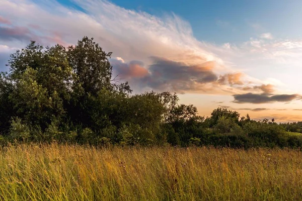 Paisagem Rural Tranquila Pôr Sol Com Picos Grama Dourada Campo — Fotografia de Stock