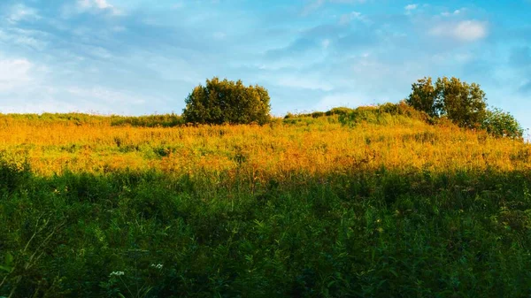 Eine Malerische Landschaft Mit Blick Auf Einen Grünen Grasbewachsenen Hügel — Stockfoto