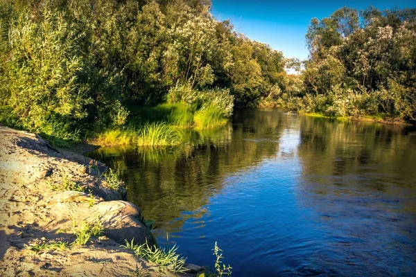 Spokojny Krajobraz Rzeką Płynącą Wśród Drzew Odzwierciedlających Błękitne Niebo — Zdjęcie stockowe