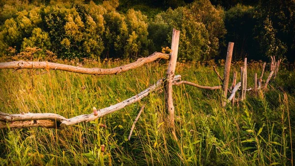 Evening Landscape Old Fence Made Wooden Poles Field — Stock Photo, Image