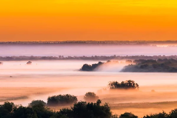 Schöne Morgenlandschaft Mit Nebel Über Dem Flusstal Mit Bäumen Blick — Stockfoto