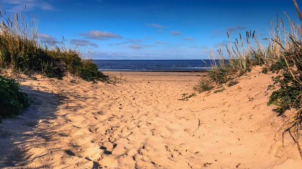 Dunes Sable Sur Plage Mer Blanche Russie — Photo