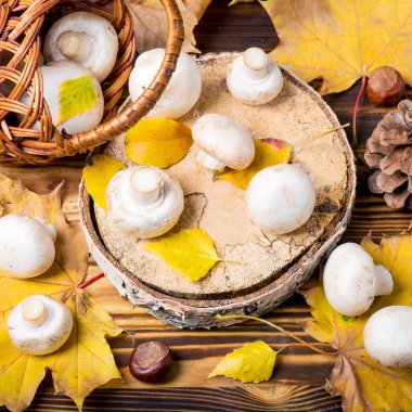 Tahta bir masada mantar şampiyonları ve sonbahar yaprakları