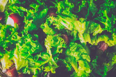 Ahşap bir zemin üzerine yeşil sebze salatası