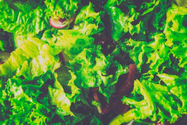 Sebzeli yeşil salata