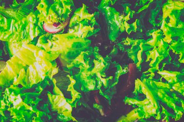 Sebzeli yeşil salata