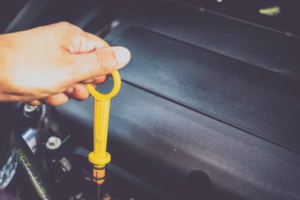 The hand checks the oil in the engine