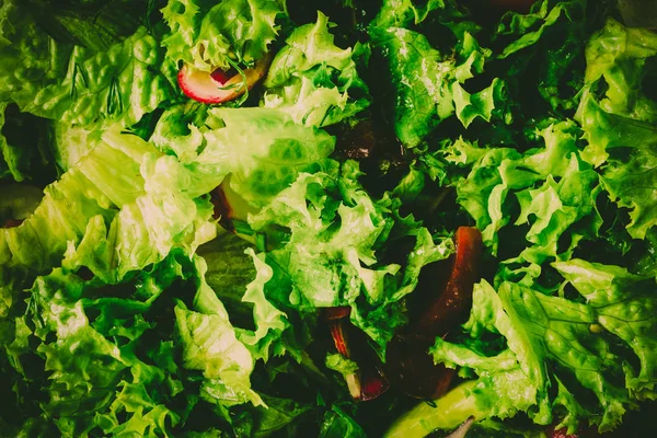 Sebzeli yeşil salata