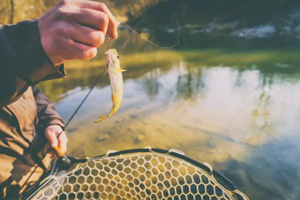 Trucha Capturada Por Pescador — Foto de Stock