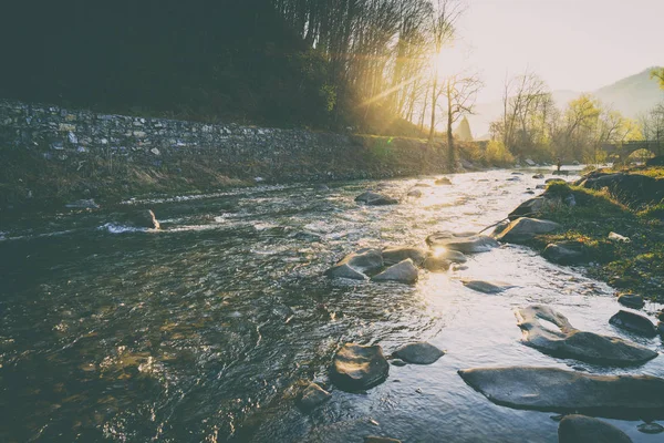 Muhteşem manzara, dağ nehir, yaban hayatı