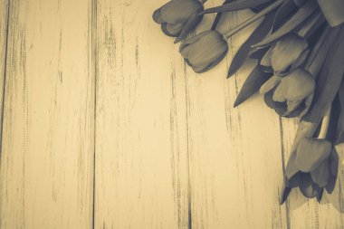 Lale bir tahta üzerinde arka plan