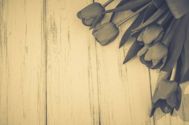 Lale bir tahta üzerinde arka plan