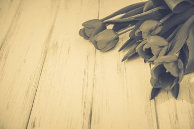 Lale bir tahta üzerinde arka plan