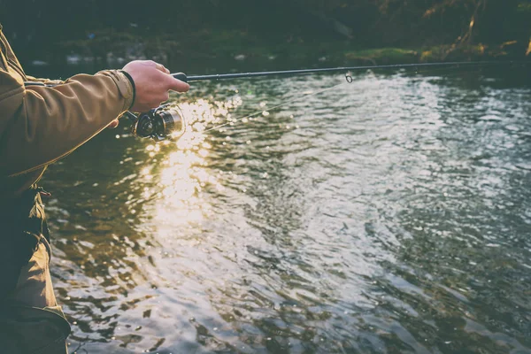 Balıkçı bir alabalık bir dağ nehir üzerinde yakalar.